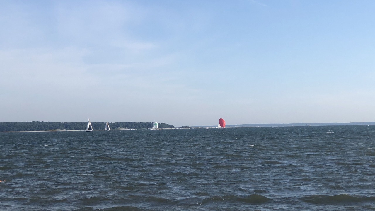 Photo of Others in Cutchogue