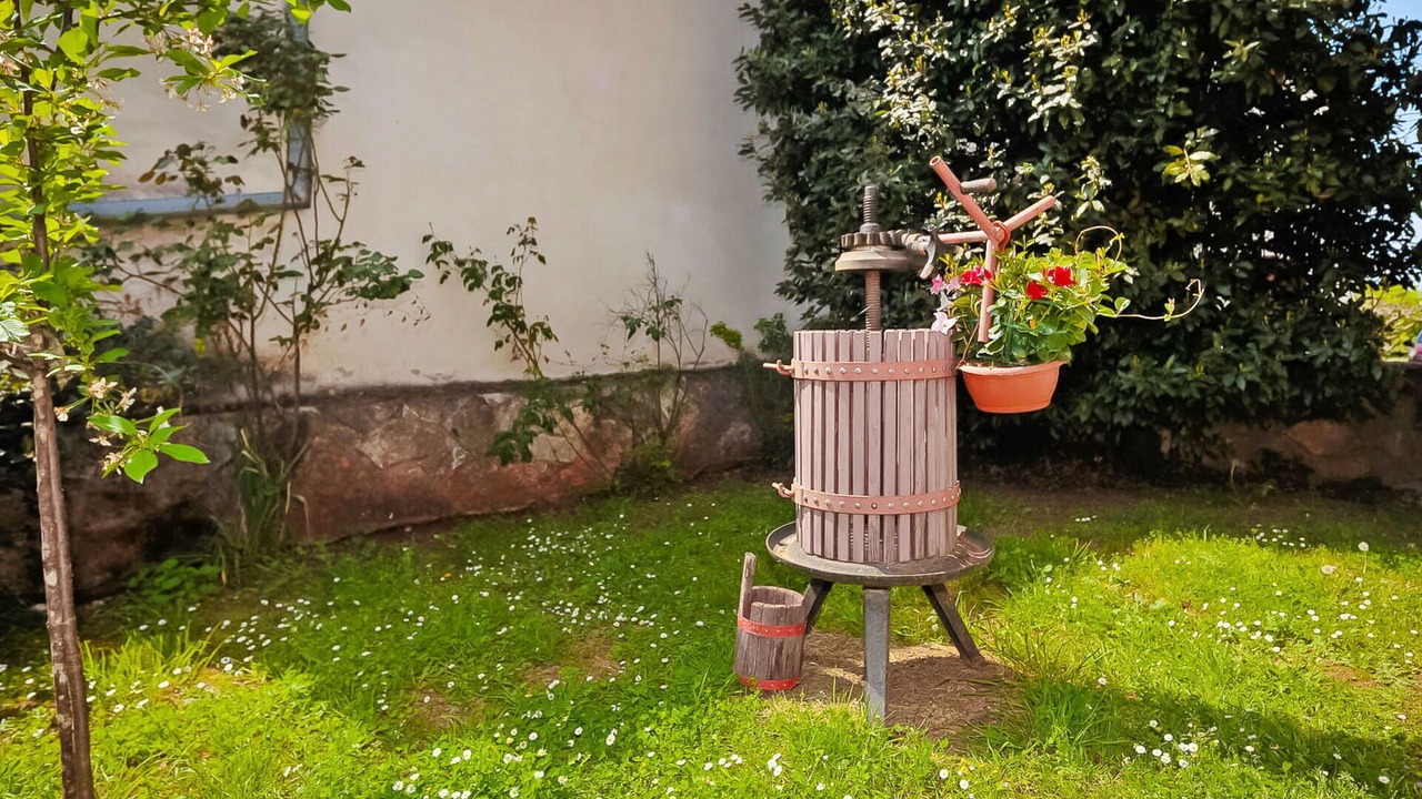 Photo of Outdoor in Brajkovici