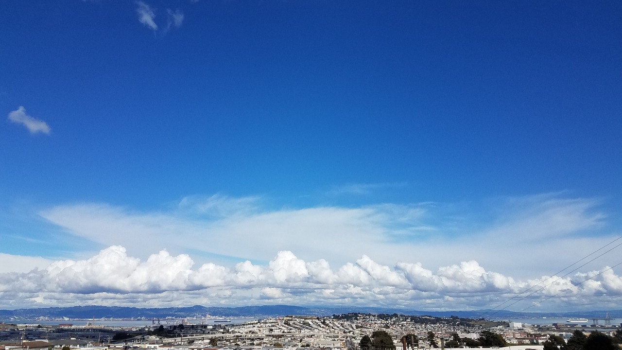 Photo of Others in University Mound