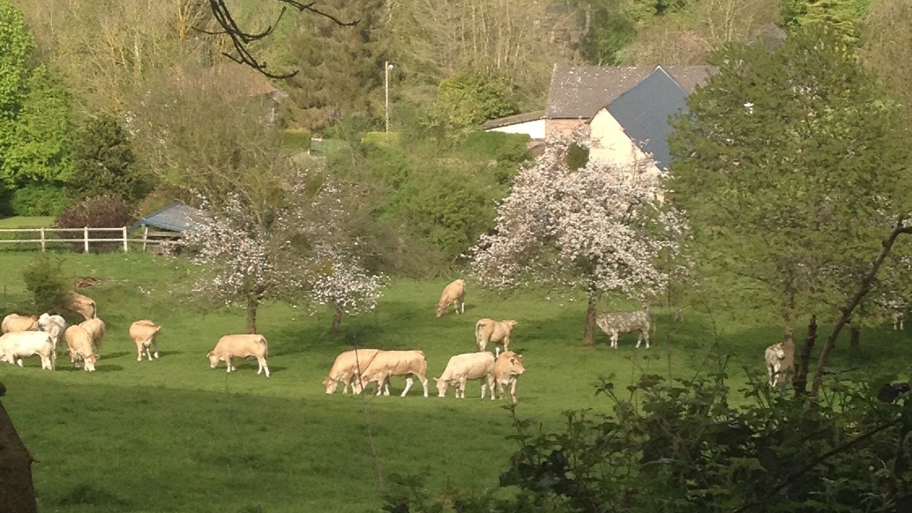 Photo of Outdoor in Gueures