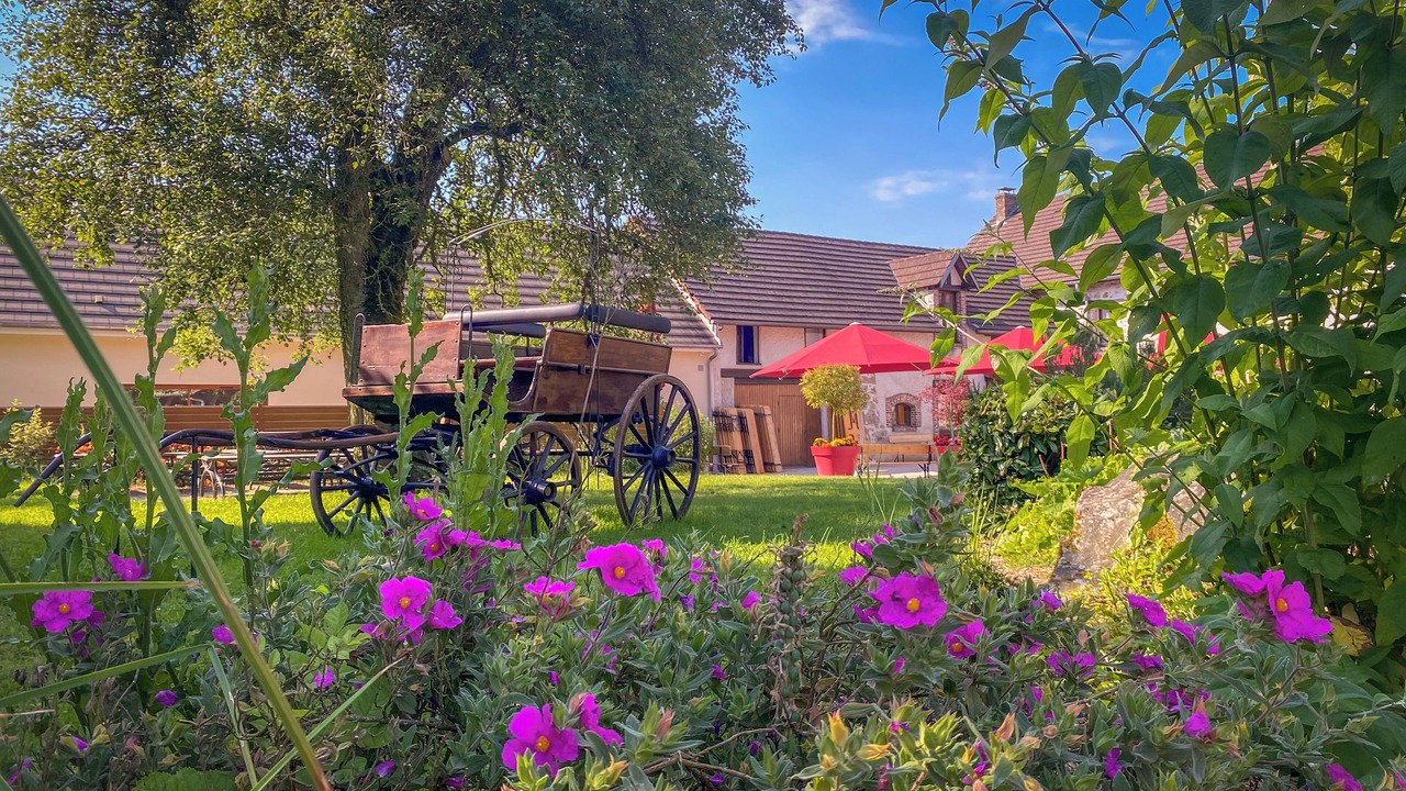 Photo of Outdoor in Leuvrigny