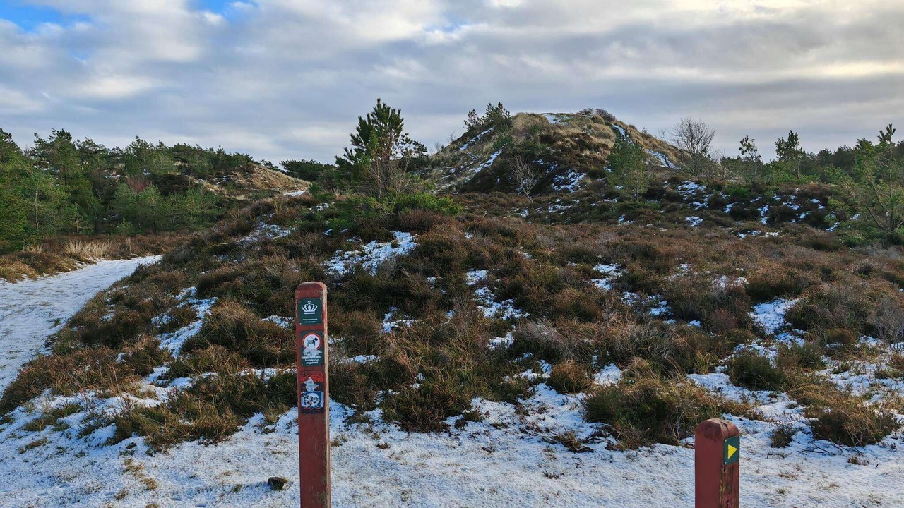 Photo of Others in Toftum