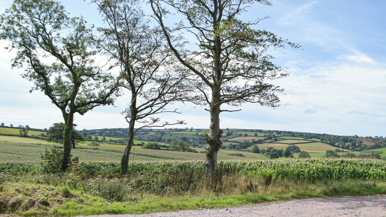 Photo of Others in Llanybri