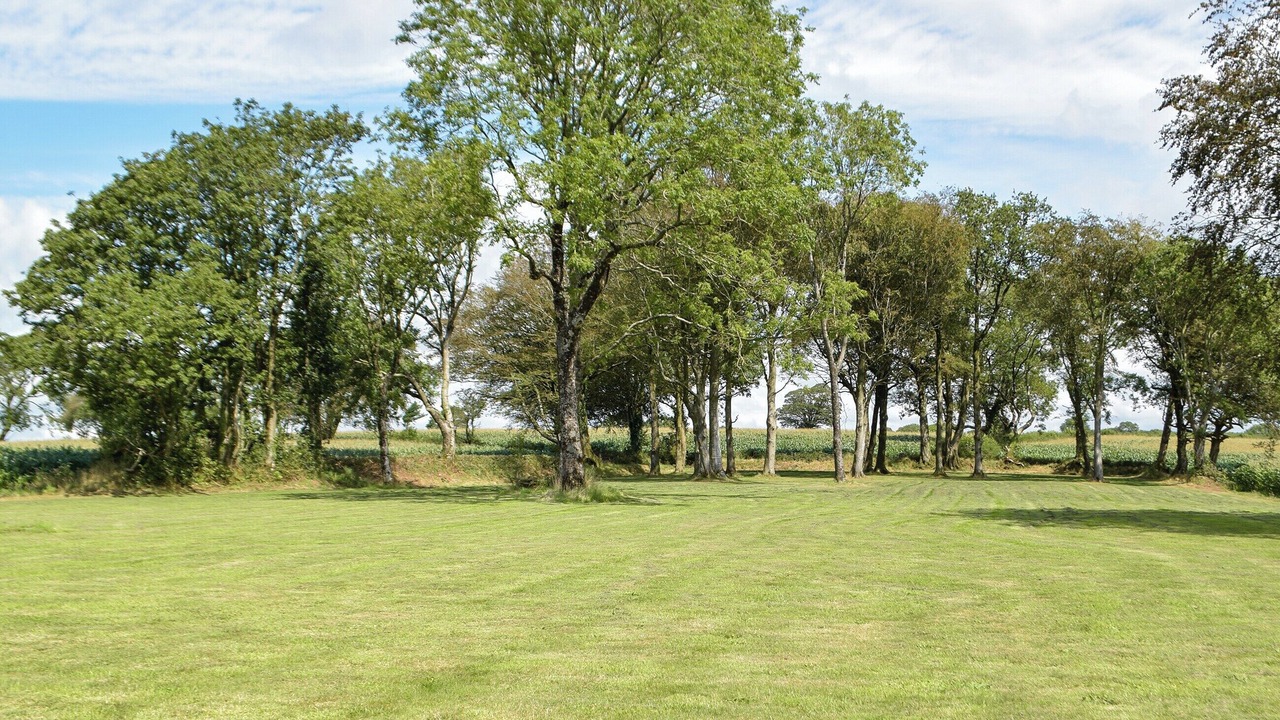 Photo of Others in Llanybri