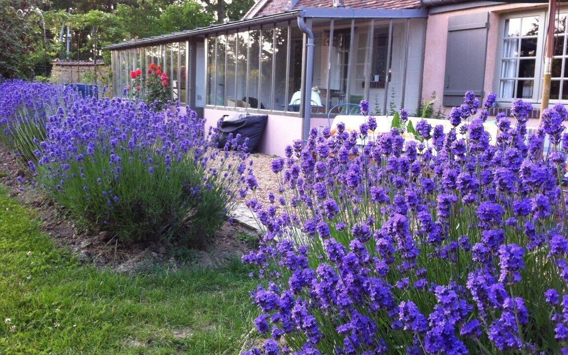 Photo of Outdoor in Saint-Luperce