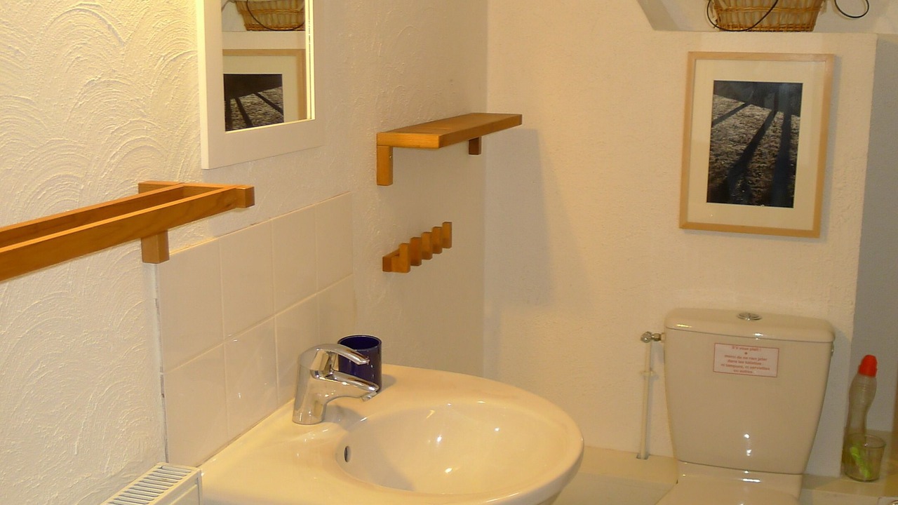 Photo of Bathroom in Saint-Luperce