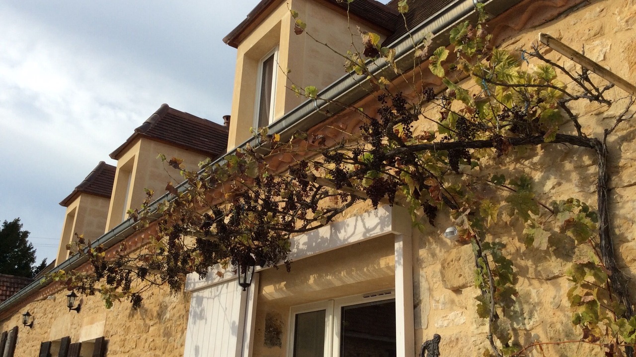 Photo of Outdoor in Le Buisson-de-Cadouin