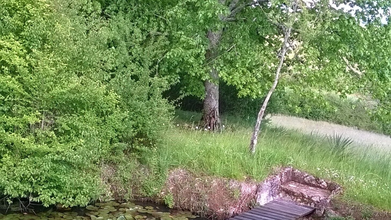 Photo of Outdoor in Le Buisson-de-Cadouin