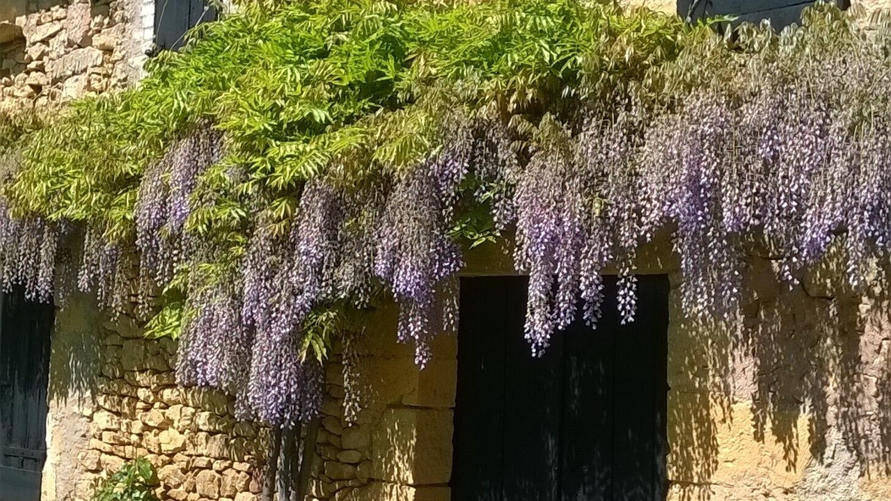 Photo of Outdoor in Le Buisson-de-Cadouin