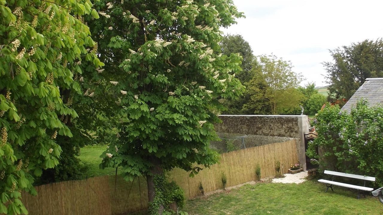 Photo of Outdoor in Audeville