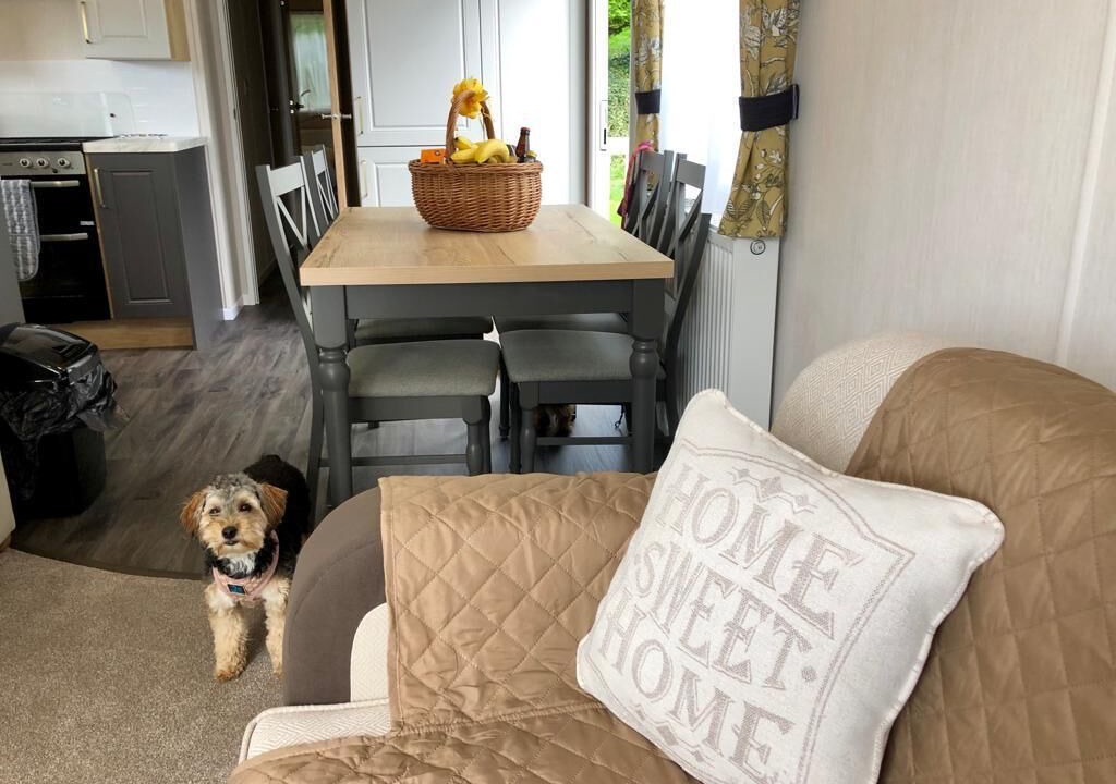 Photo of Others in Newquay