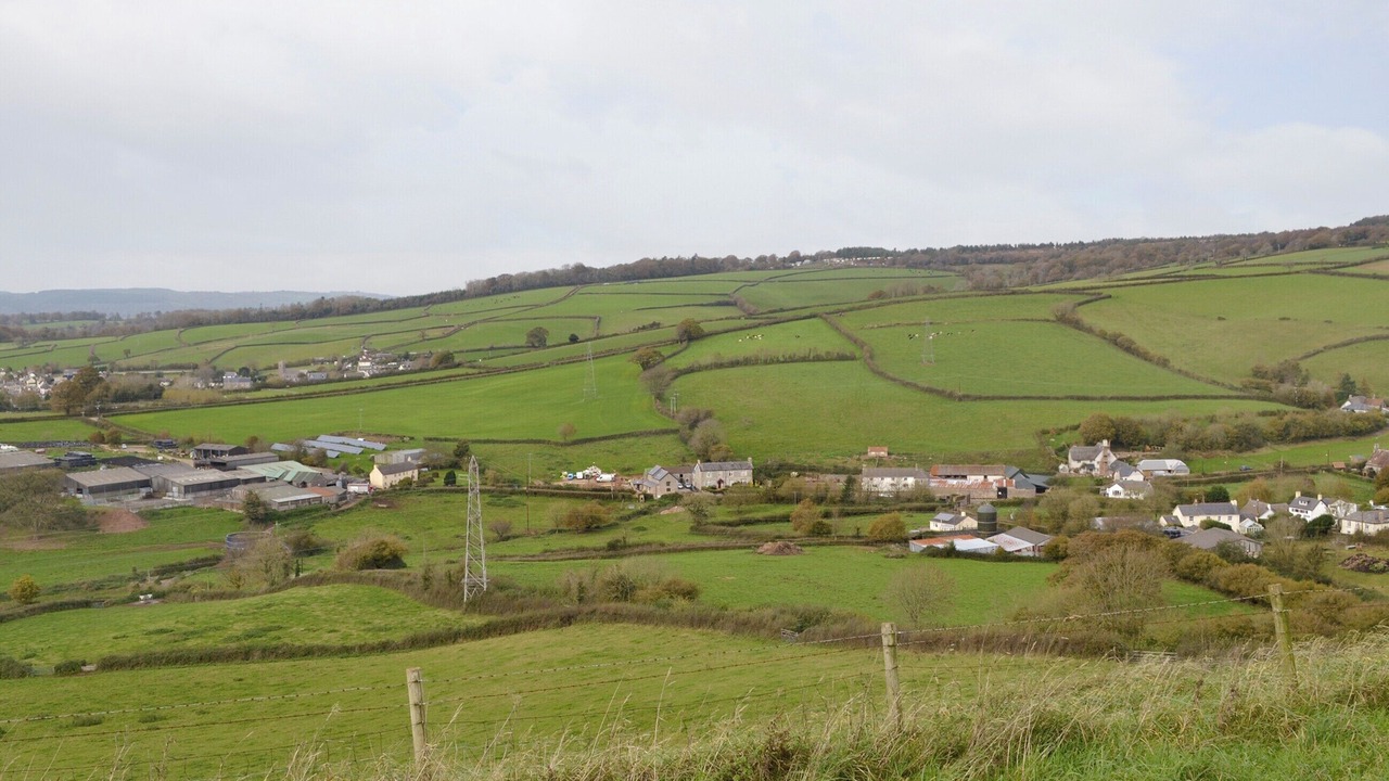 Photo of Others in Liverton