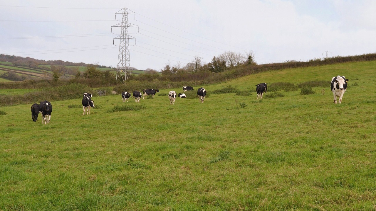 Photo of Others in Liverton