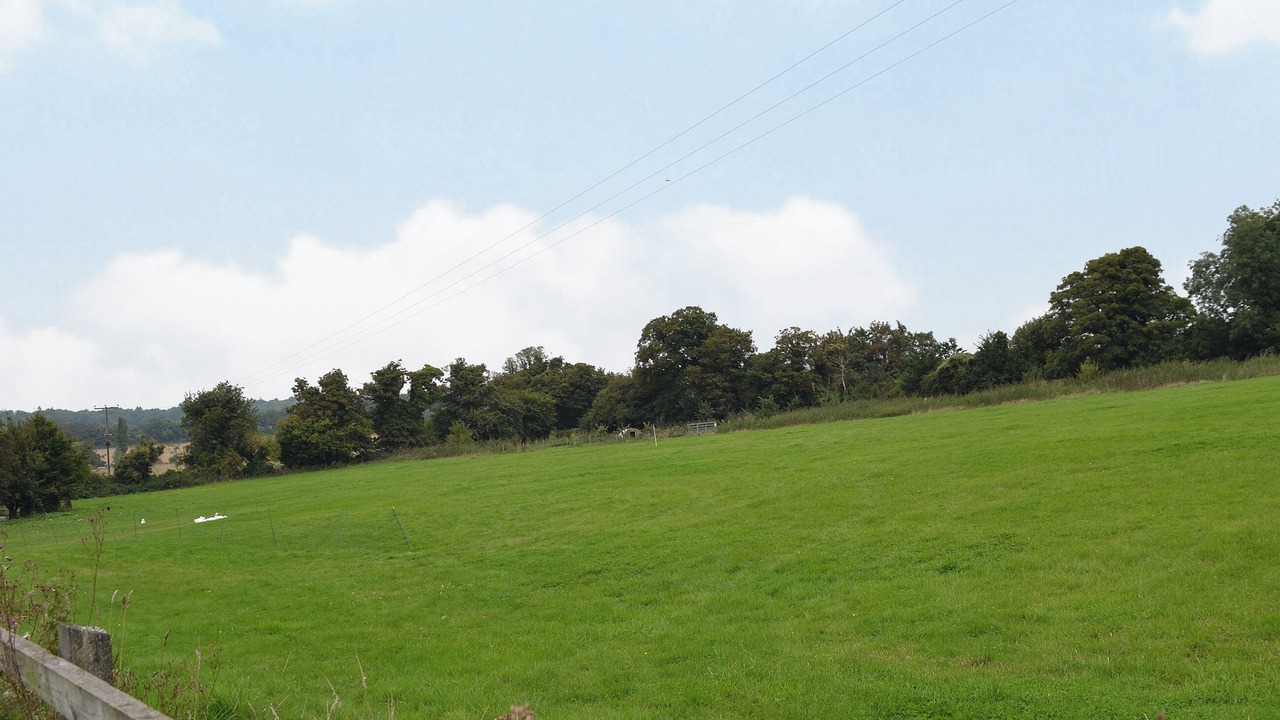 Photo of Others in Compton