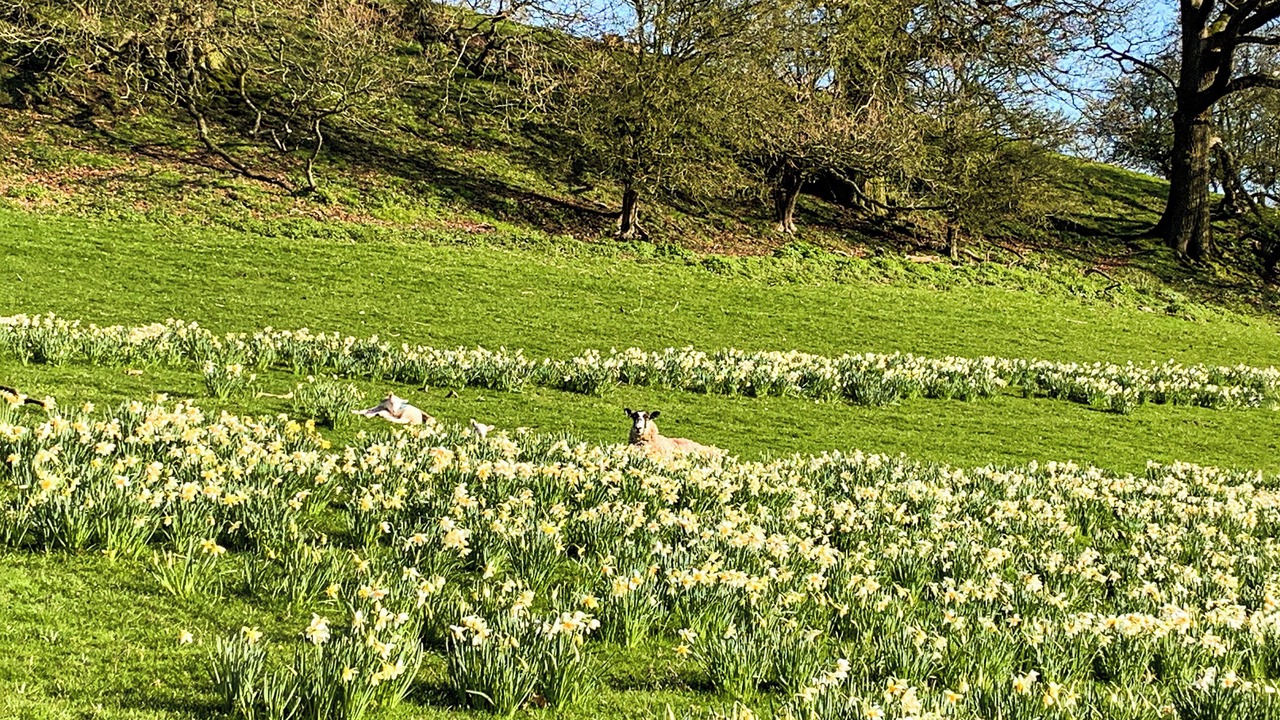 Photo of Others in Mathon