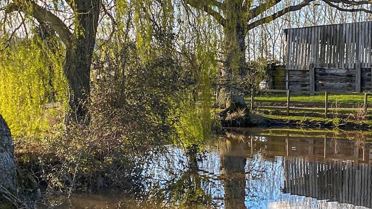 Photo of Others in Mathon