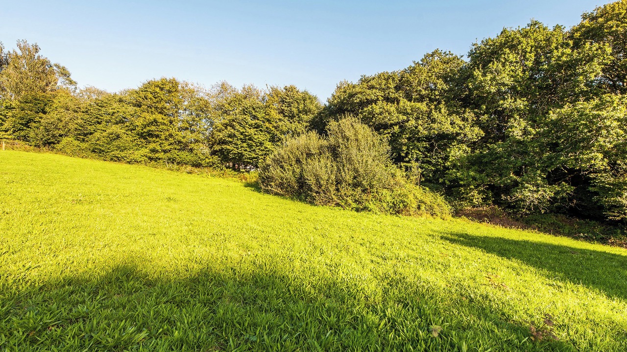 Photo of Others in Saltash