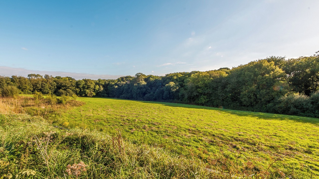 Photo of Others in Saltash