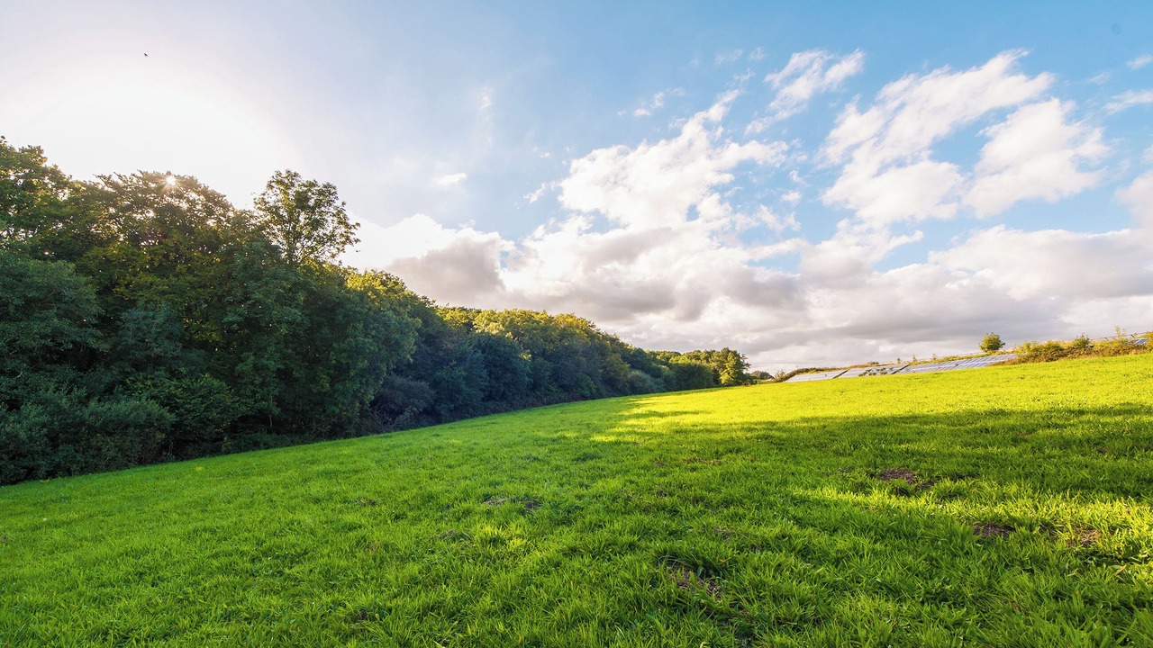 Photo of Others in Saltash