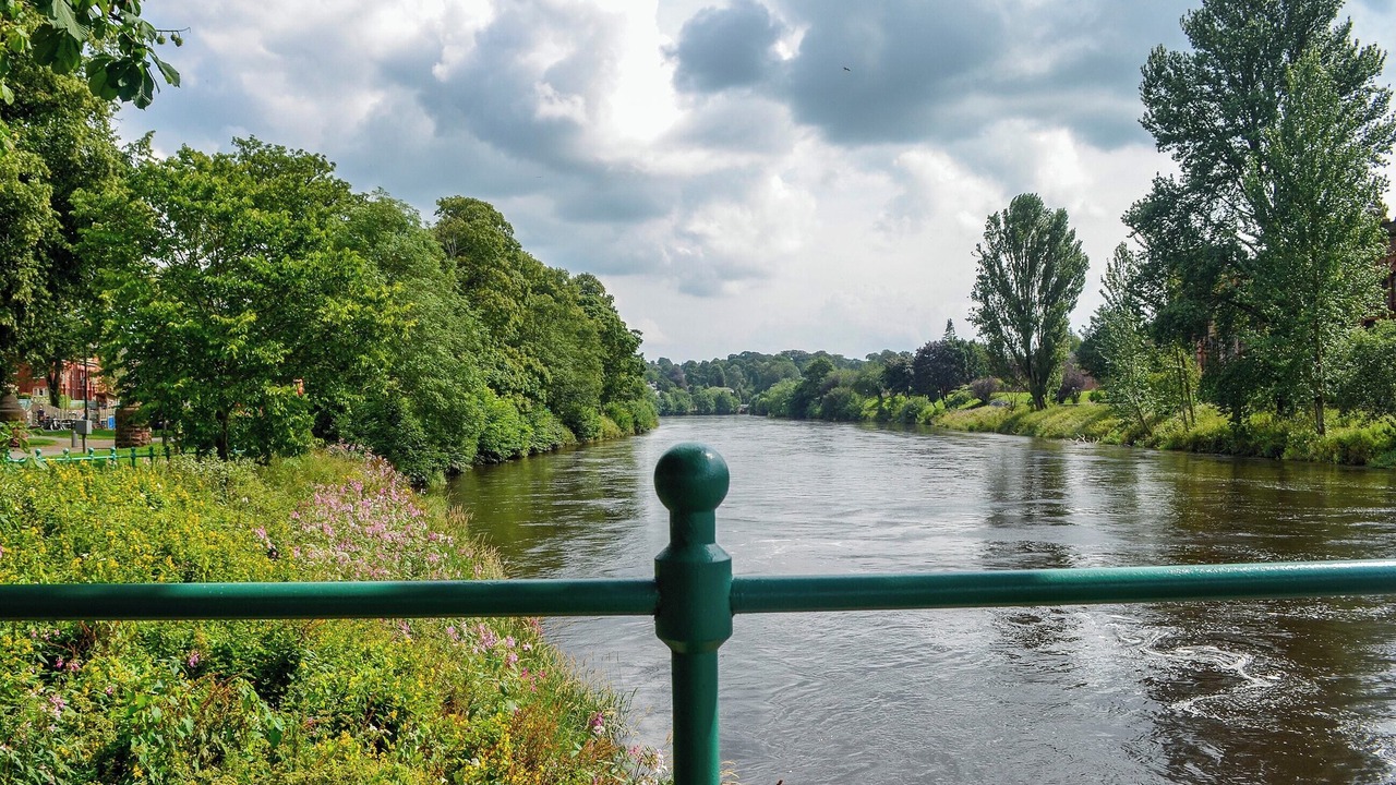 Photo of Others in Dumfries