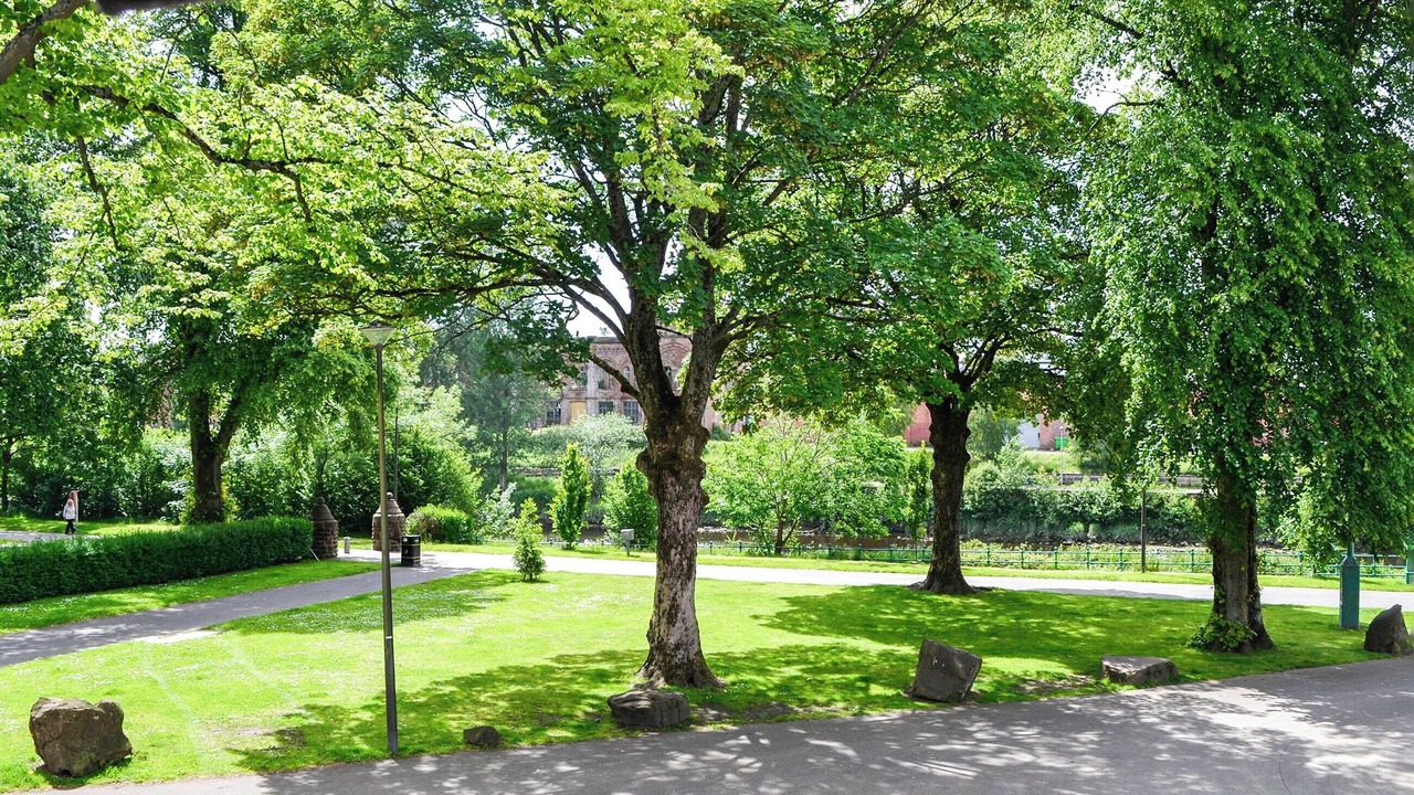 Photo of Others in Dumfries