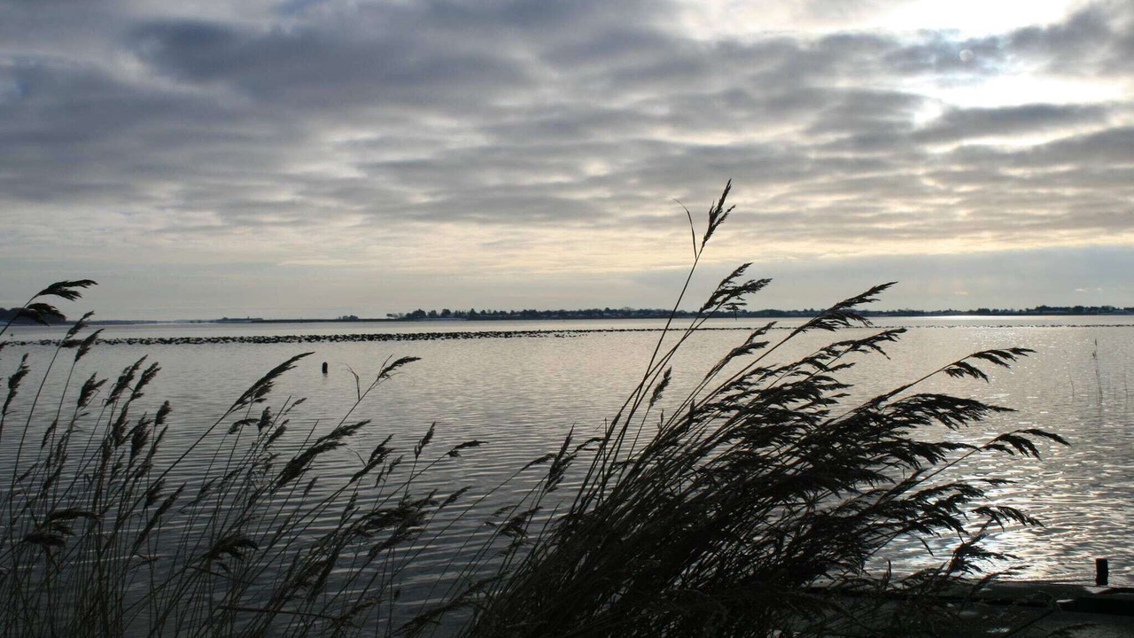 Photo of Others in Karrebksminde