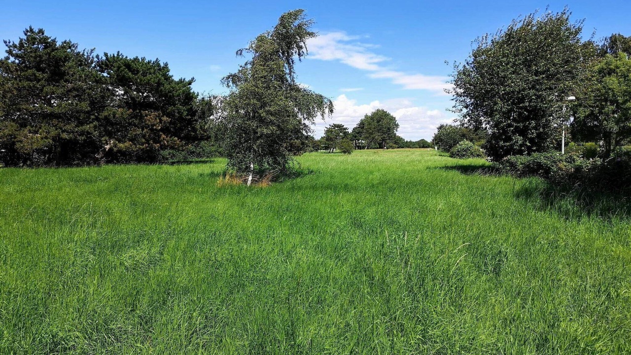 Photo of Others in Karrebksminde