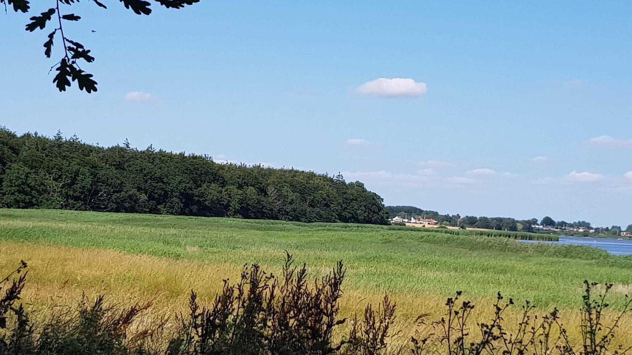 Photo of Others in Karrebksminde