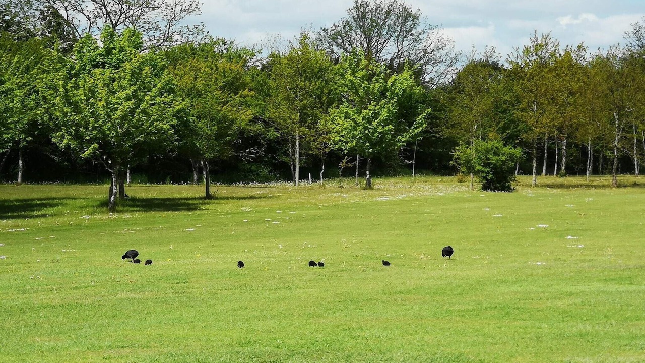 Photo of Others in Karrebksminde