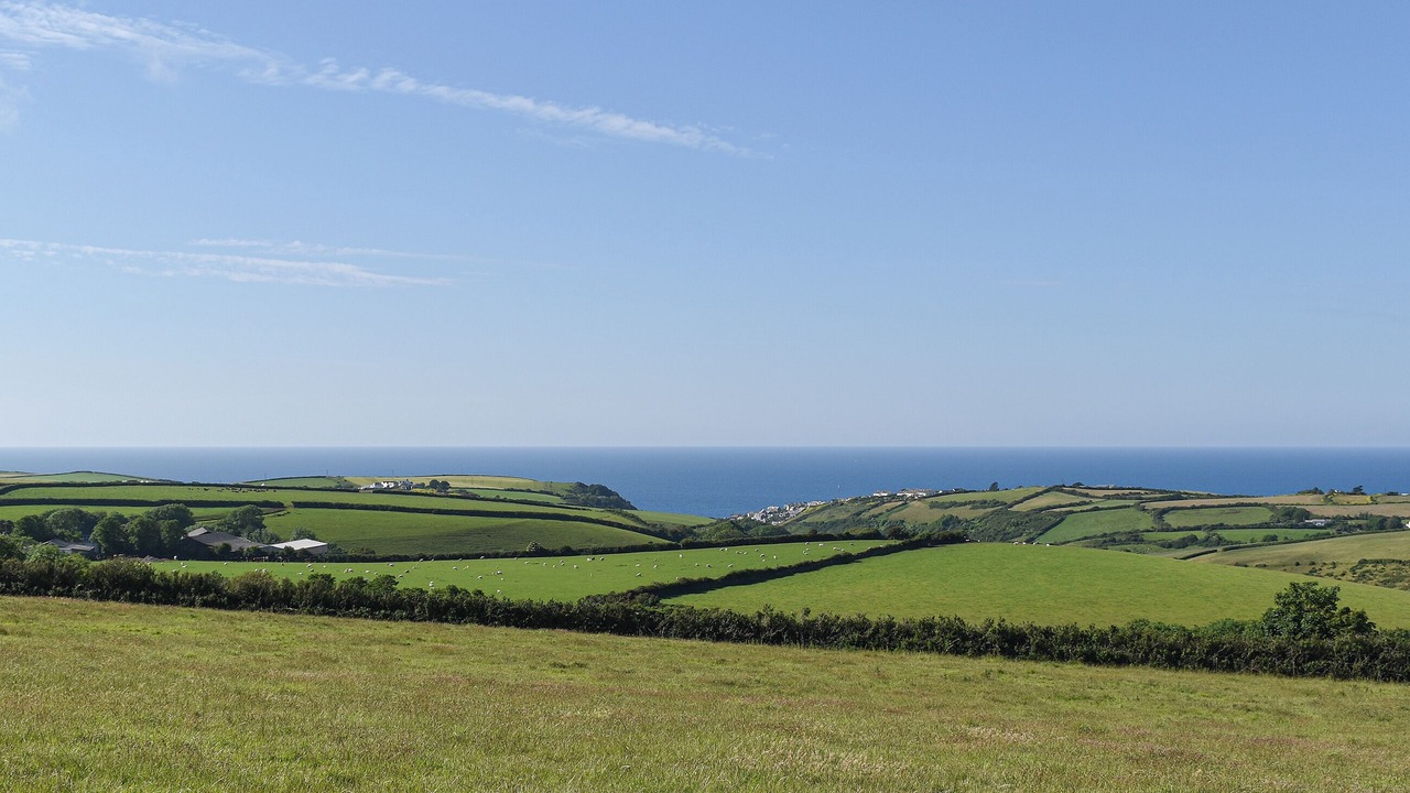 Photo of Others in Saint Kew