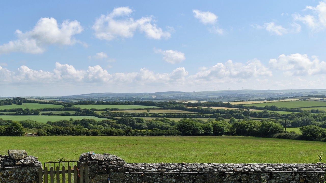 Photo of Others in Saint Kew