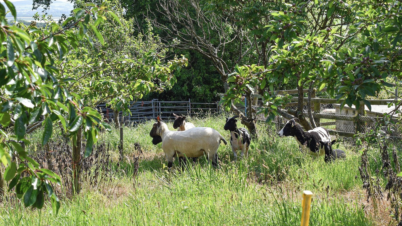Photo of Outdoor in Saint Kew
