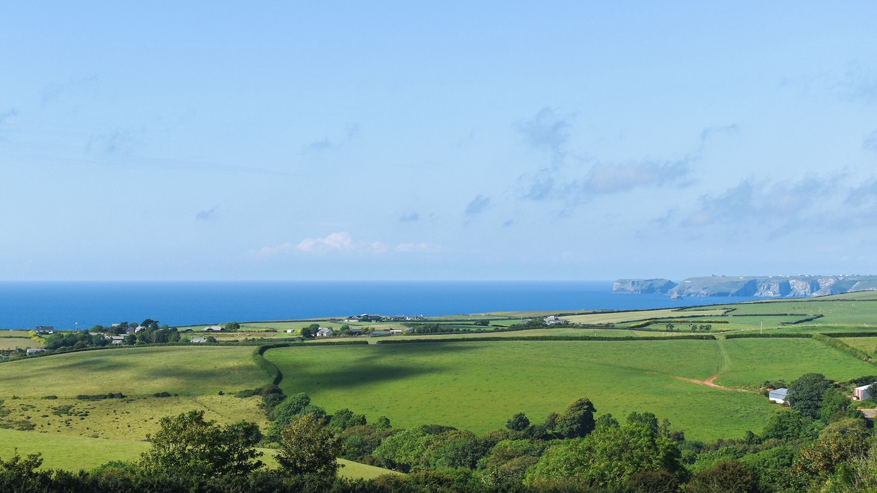 Photo of Others in Saint Kew