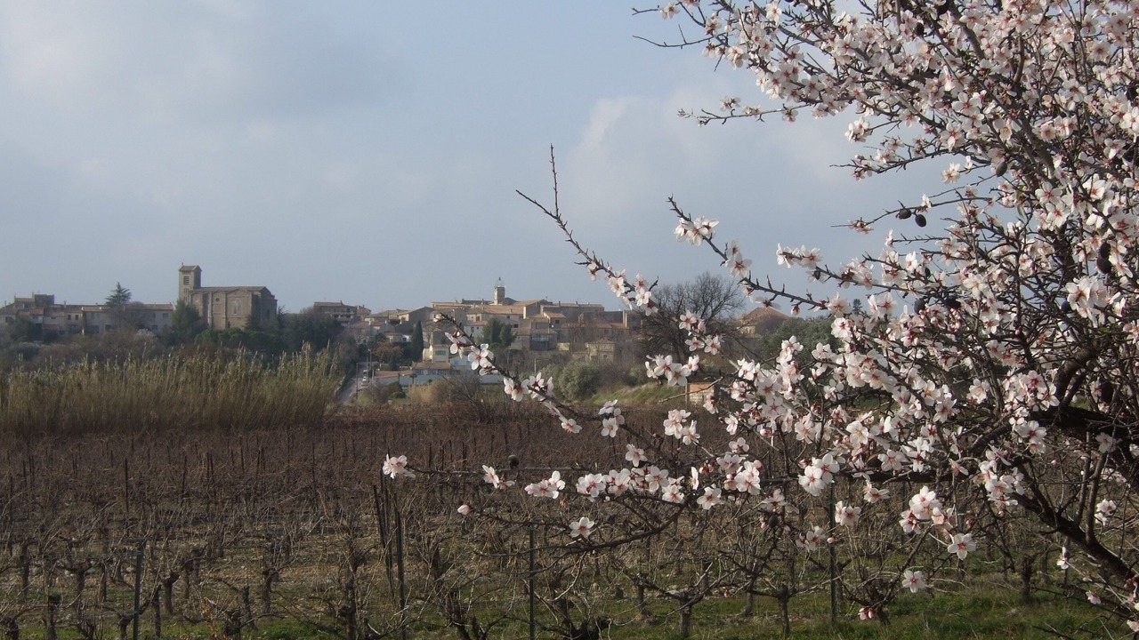 Photo of Outdoor in Saint-Christol