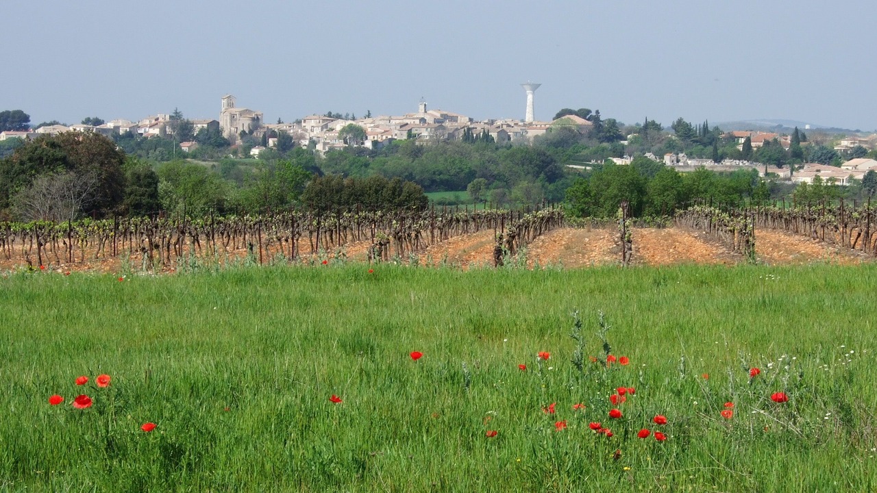 Photo of Outdoor in Saint-Christol