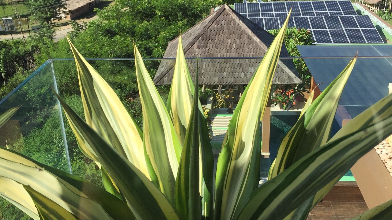 Photo of Outdoor in Kuta