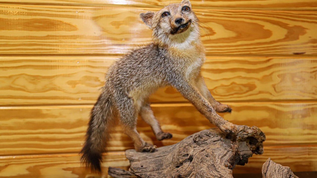 Photo of Others in La Grange