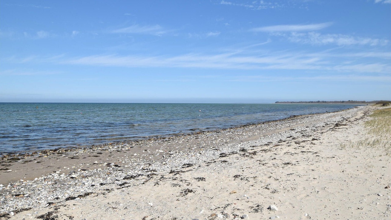 Photo of Others in Skastrup Strand