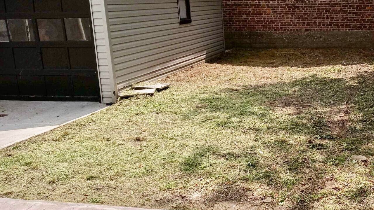 Photo of Outdoor in East New York
