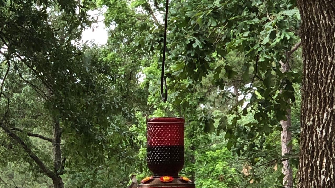 Photo of Outdoor in Livingston