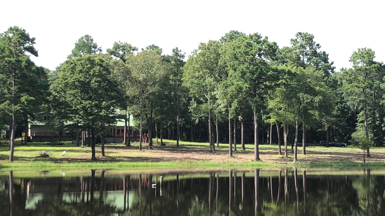Photo of Outdoor in Livingston