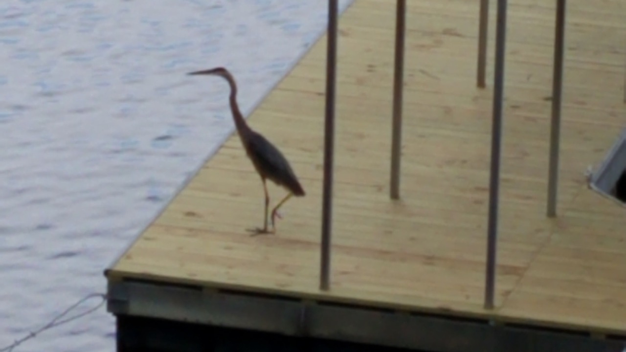 Photo of Outdoor in Osage Beach