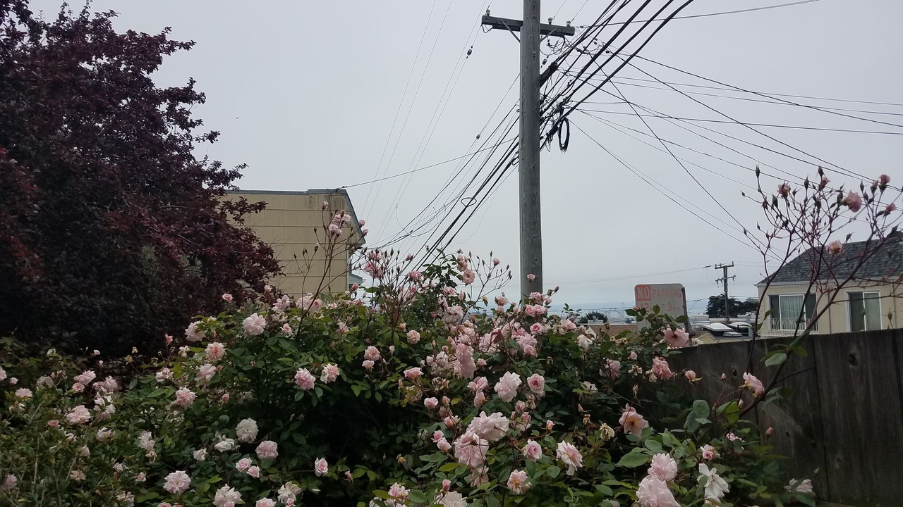 Photo of Outdoor in University Mound