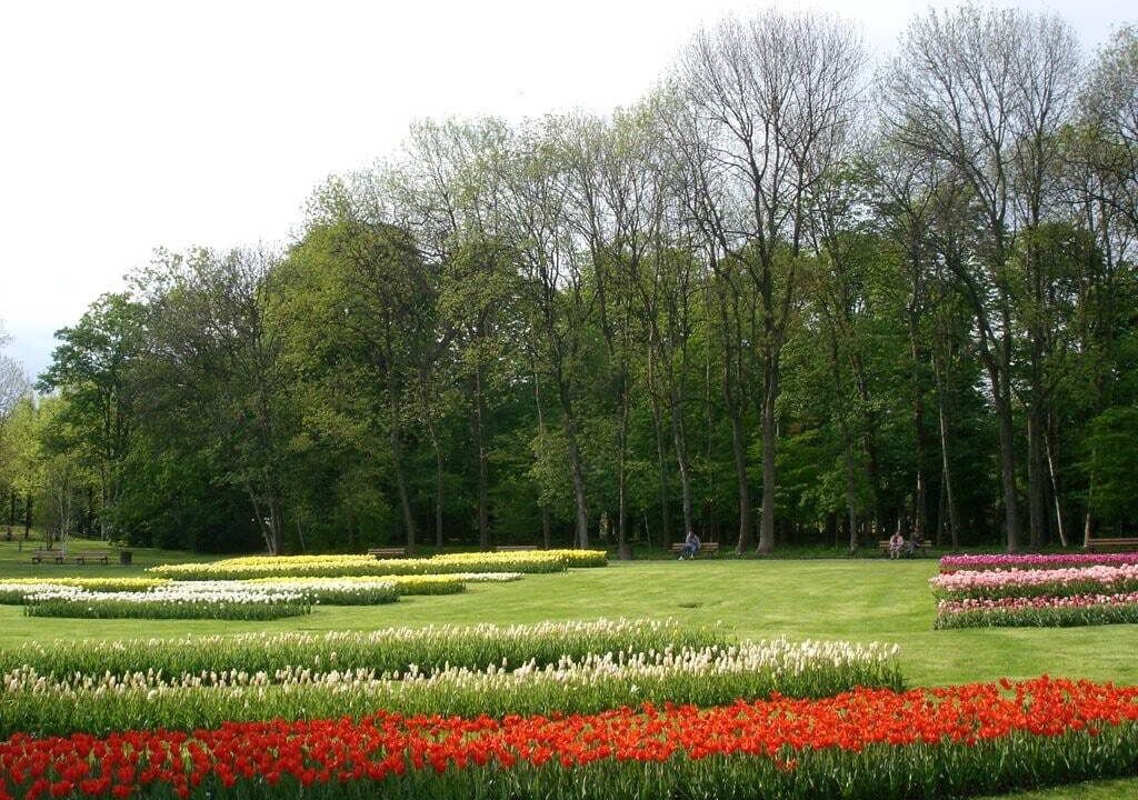 Photo of Outdoor in Saint-Denis