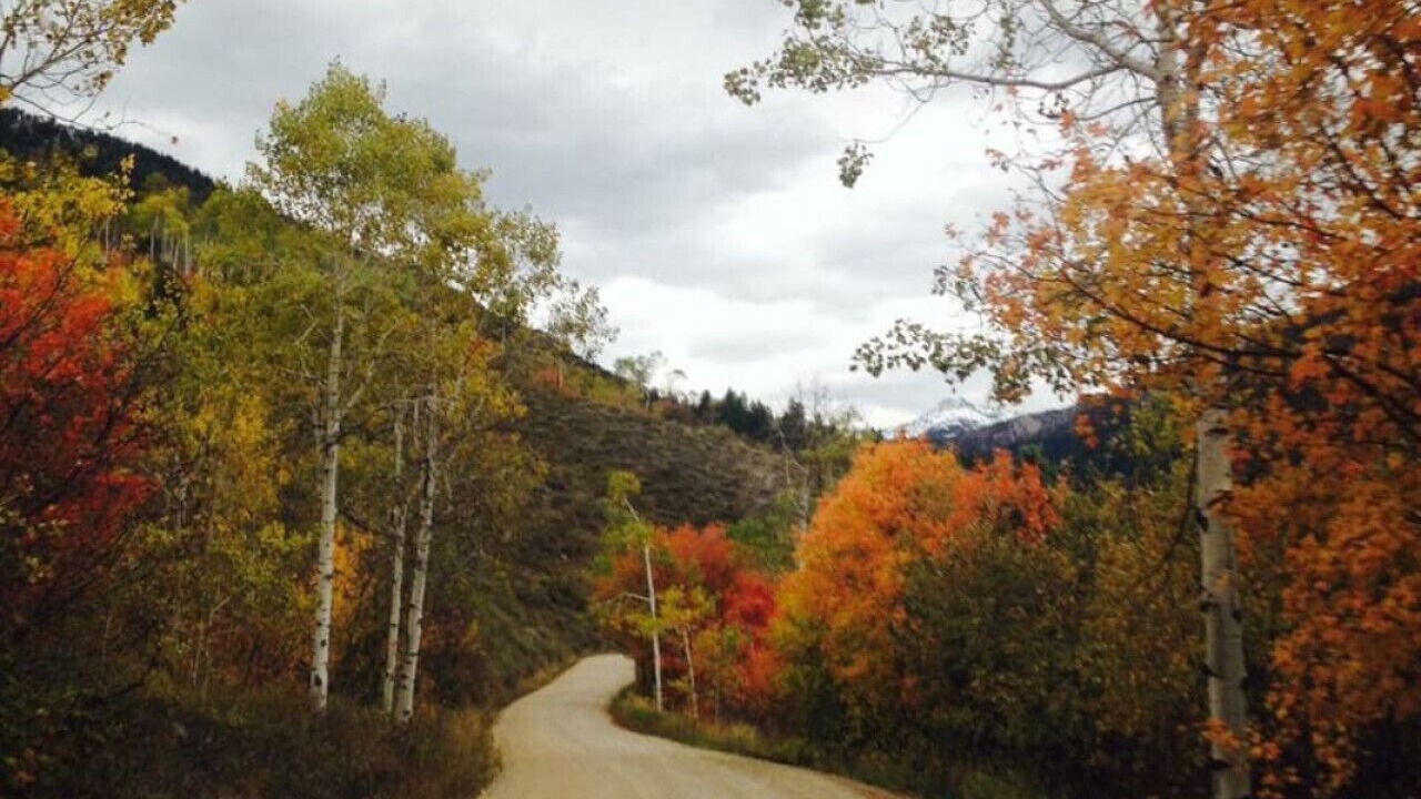 Photo of Others in Irwin