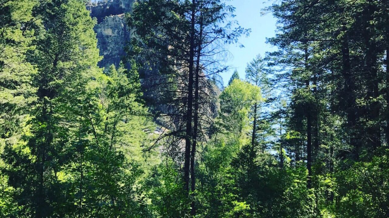 Photo of Others in Irwin