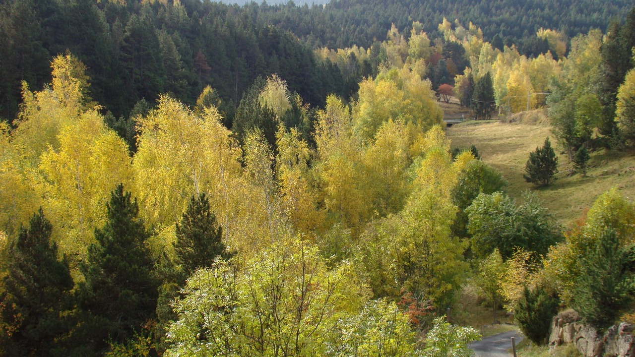 Photo of Outdoor in Ayguatebia-Talau