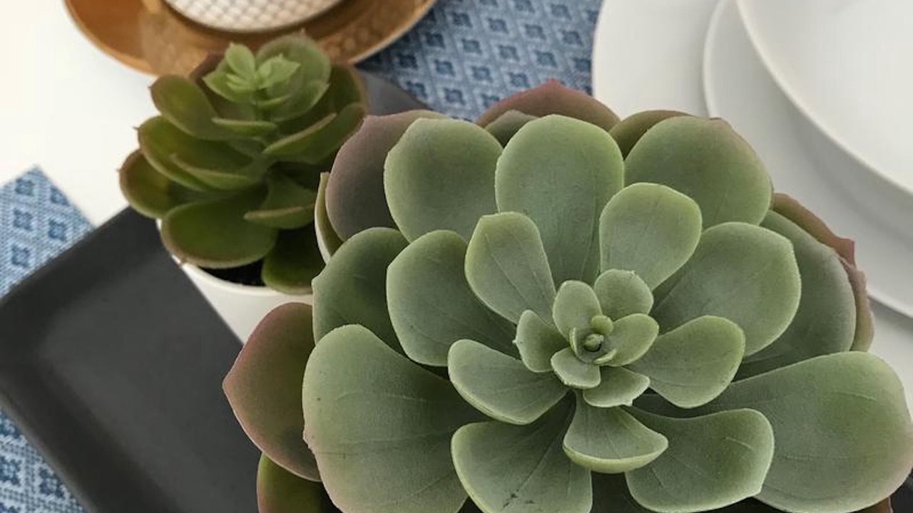 Photo of Others in Reading