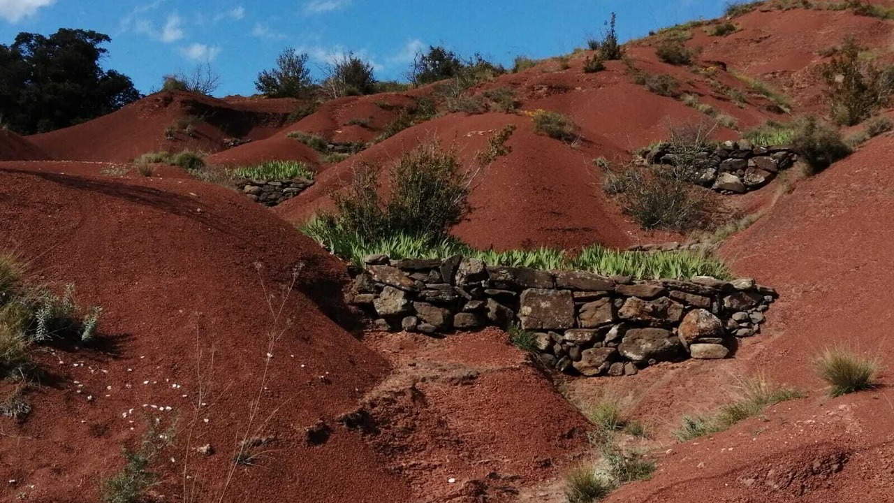 Photo of Others in Octon