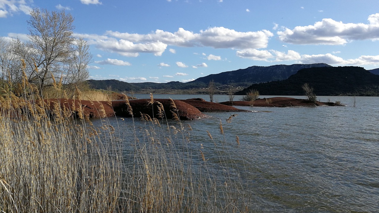 Photo of Others in Octon